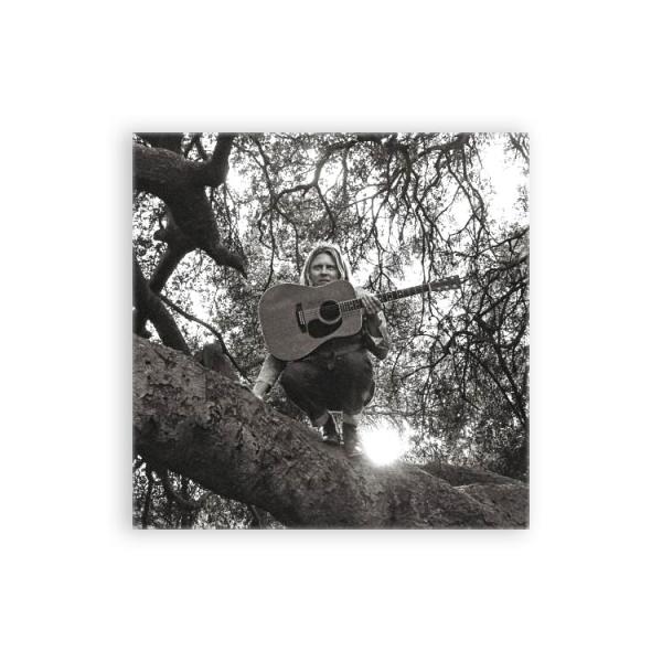 TY SEGALL / HELLO, HI (CD) / DRAG CITY / ガレージ / タイ・セガール