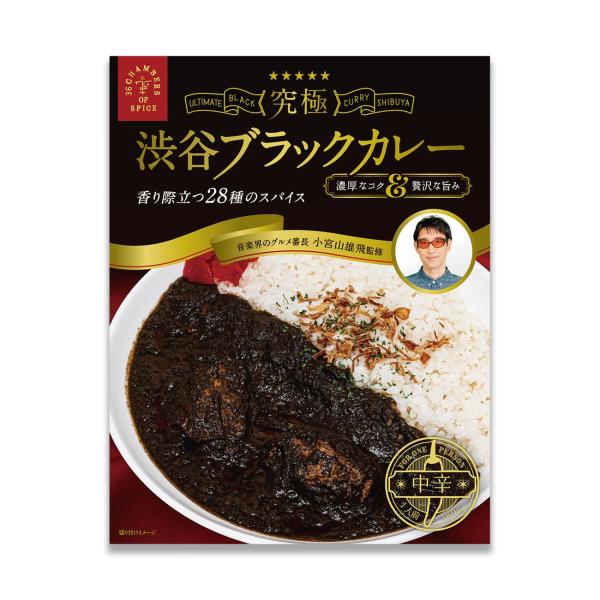 小宮山雄飛監修 ブラックカレー 1人前 (180g) スパイス レトルトカレー 中辛 電子レンジ対応 36チャンバーズ・オブ・スパイス