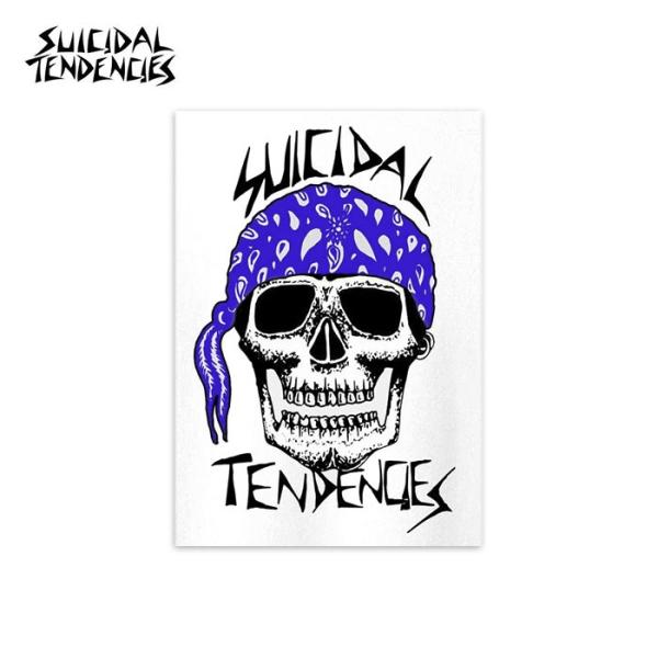 Suicidal Tendencies スイサイダル・テンデンシーズ STS21 RxC Skull Sticker ステッカー バンド ミュージシャン スケボー スケーター 車 スカル ストリート