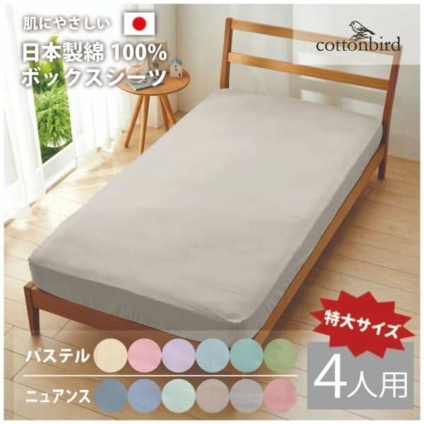 日本製 綿100％ ボックスシーツ 4人用 240×200×30cm ベッド 