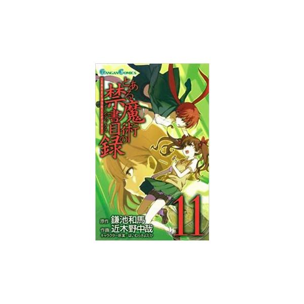 5000円以上送料無料の対象商品です。  爆買 (出演) 鎌池 和馬(著)、近木野 中哉(著) (ジャンル) コミック・本 少年(小中学生) (入荷日) 2025-04-30