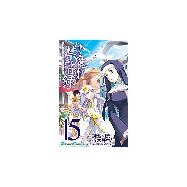 5000円以上送料無料の対象商品です。  爆買 (出演) 鎌池和馬(著)、近木野中哉(イラスト) (ジャンル) コミック・本 少年(小中学生) (入荷日) 2025-04-30