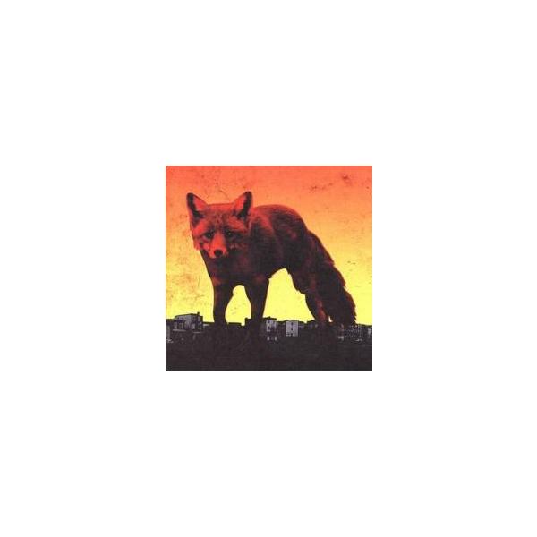 5000円以上送料無料の対象商品です。  爆買 (出演) Ｔｈｅ Ｐｒｏｄｉｇｙ (ジャンル) CD、音楽 洋楽 ヒップホップ ラップ ロック・ポップス (入荷日) 2024-11-12