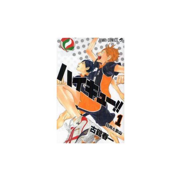 ハイキュー!! 全 45 巻 完結 セット レンタル落ち 全巻セット 中古