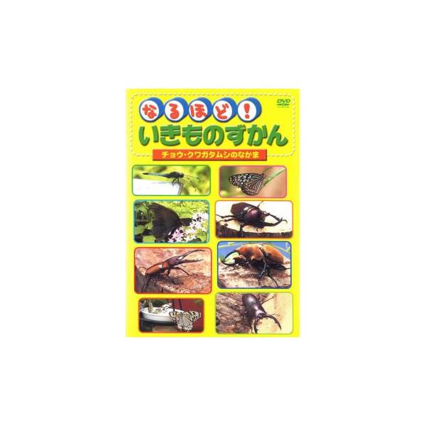 5000円以上送料無料の対象商品です。【バーゲン】 (ジャンル) その他、ドキュメンタリー 動物 ファミリー (入荷日) 2023-10-31