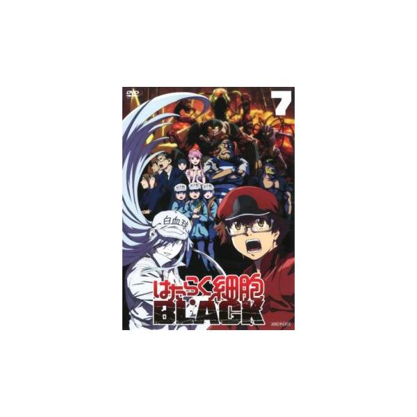 はたらく細胞 BLACK 7(第12話、第13話 最終) レンタル落ち 中古 DVD