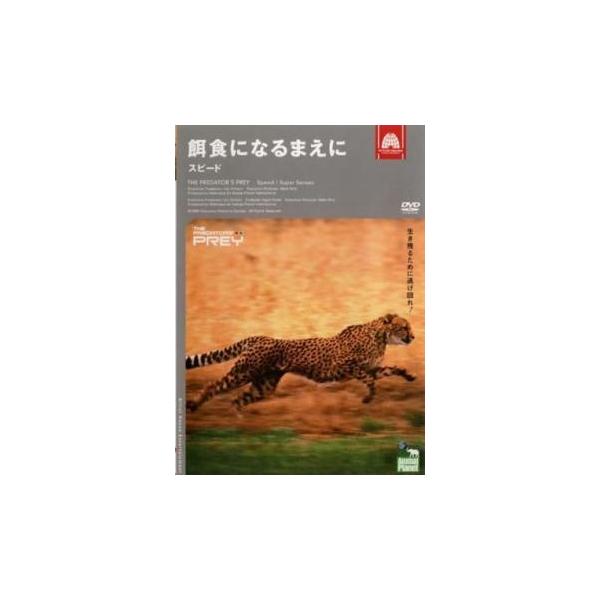 5000円以上送料無料の対象商品です。【バーゲン】 (ジャンル) 趣味、実用 動物 (入荷日) 2024-04-01