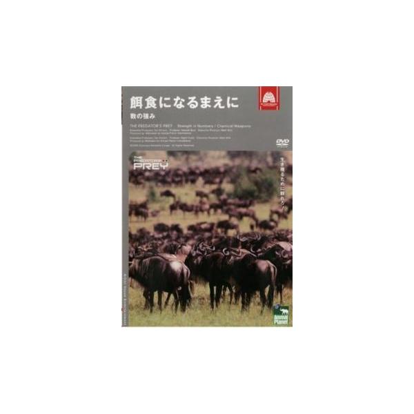 5000円以上送料無料の対象商品です。  爆買【バーゲン】 (ジャンル) 趣味、実用 動物 (入荷日) 2024-04-01