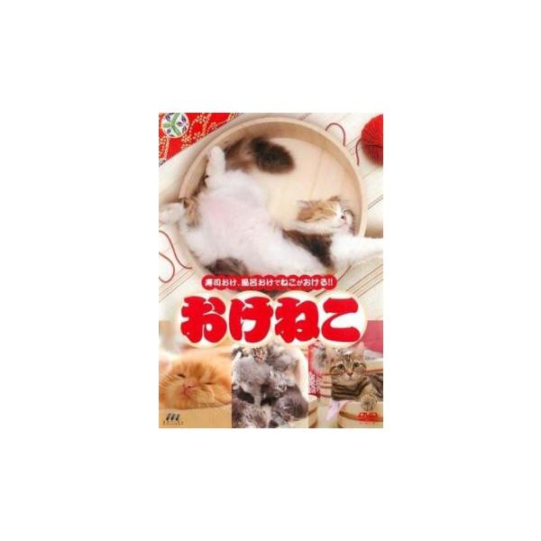 おけねこ レンタル落ち 中古 DVD 【ご奉仕価格】