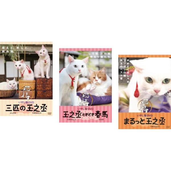 5000円以上送料無料の対象商品です。  爆買 全3巻 【バーゲン】(監督) 有馬顕 (出演) あなご、さくら（若）、さくら（大人） (ジャンル) 趣味、実用 動物 (入荷日) 2025-10-01