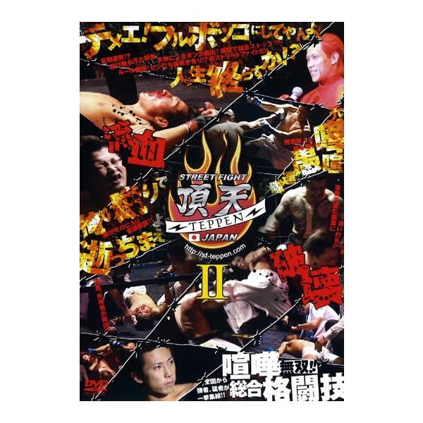 ケース無::STREET FIGHT 頂天II TEPPEN JAPAN レンタル落ち 中古 DVD