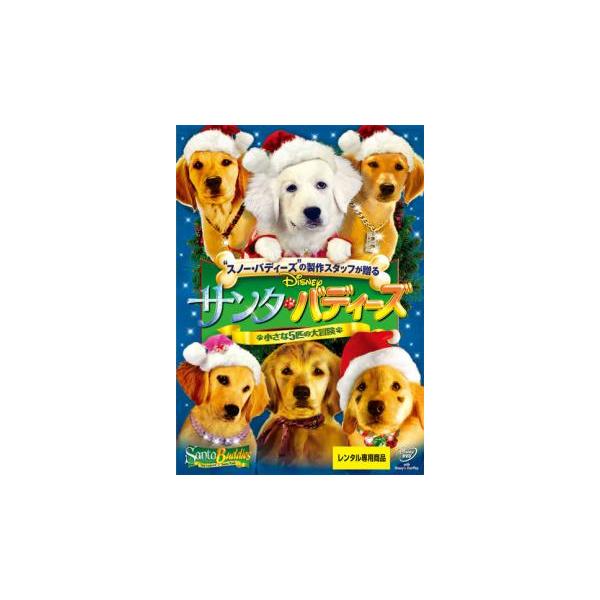 5000円以上送料無料の対象商品です。  爆買【バーゲン】(監督) ロバート・ヴィンス (出演) ケイトリン・メイアー、ダニー・ウッドバーン、ジョージ・ウェント、クリストファー・ロイド、ポール・レイ、マイケル・テイゲン、アンドリュー・アスタ...
