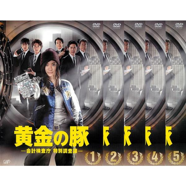 黄金の豚 会計検査庁 特別調査課 全5枚 第1話〜第9話 最終 レンタル落ち 全巻セット 中古 DVD