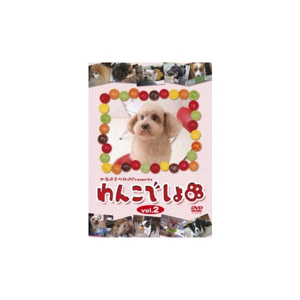 ケース無::わんこでしょ 2 中古 DVD 【ご奉仕価格】