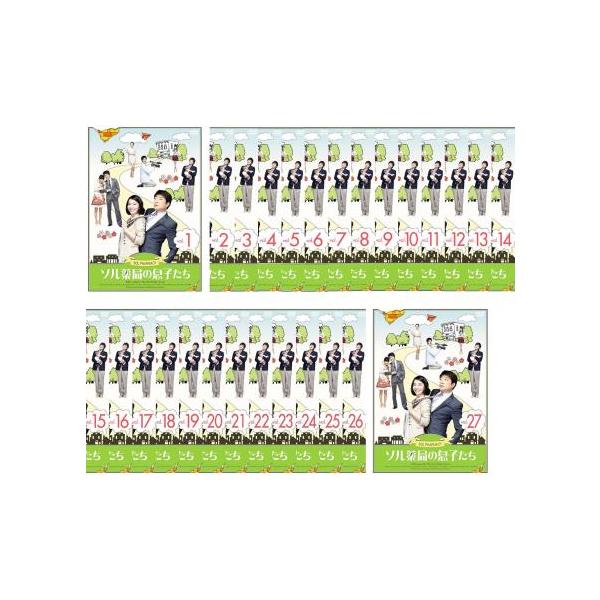 ソル薬局の息子たち 全27枚 第1話〜最終話【字幕】 レンタル落ち 全巻セット 中古 DVD