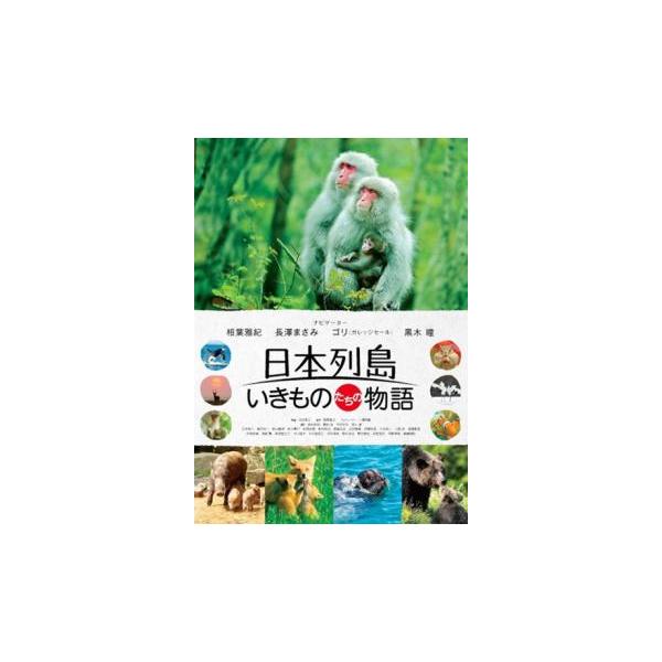 5000円以上送料無料の対象商品です。  爆買【バーゲン】(監督) 出田恵三 (ジャンル) その他、ドキュメンタリー 動物 (入荷日) 2024-08-09