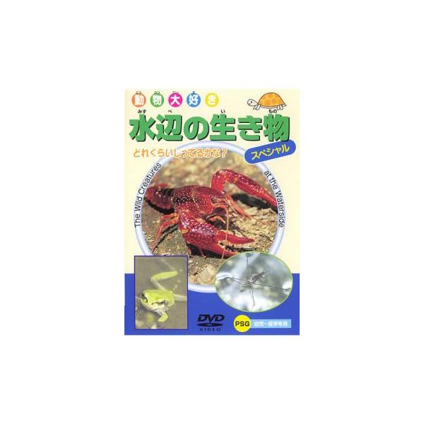 ケース無::動物大好き 水辺の生き物 スペシャル 中古 DVD