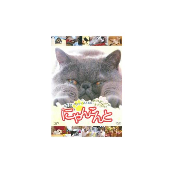 にゃんこんと くすっと笑えるネコネコ動画 ホントはこんなこと言ってたりして レンタル落ち 中古 DVD