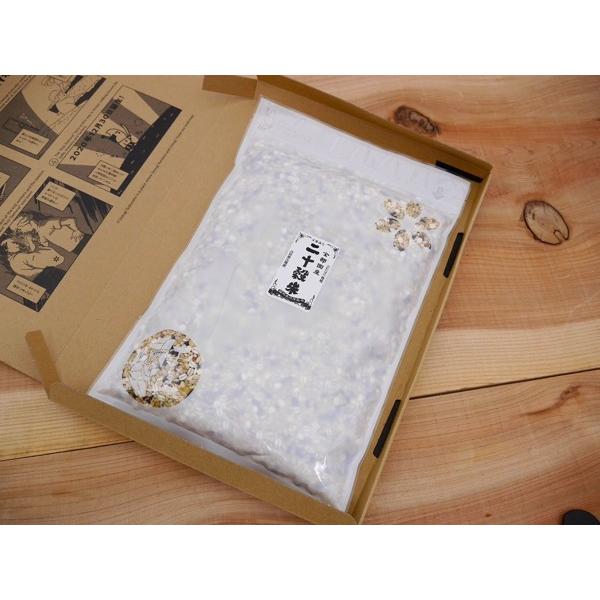 全部国産 20穀米 雑穀米（800g）送料無料