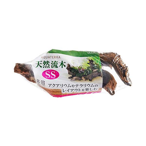 ジェックス 天然流木 SS