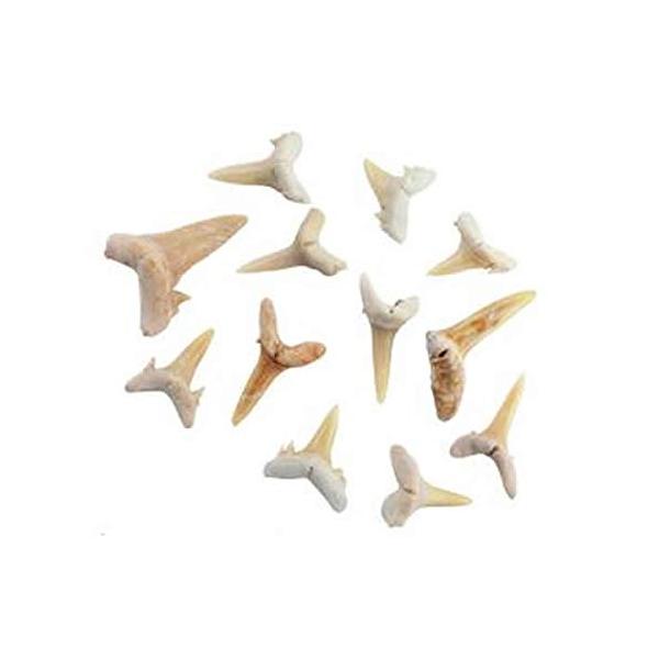 ■システム反映の都合上、ご購入後でも品切れになっている場合があります。その場合、ご登録のメールアドレスに通知致します。必ずご確認をお願いします。■サイズ・カラー等の記載が無い場合や複数記載がある場合があります。ご不明点は、ご購入前にご質問く...