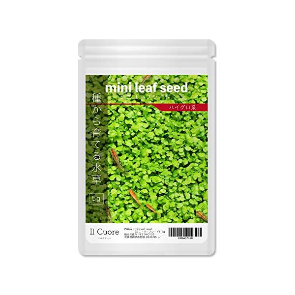 水草 Mini 水草の種 MINI LEAF SEED〈ミニリーフシード〉5g アクアリウム