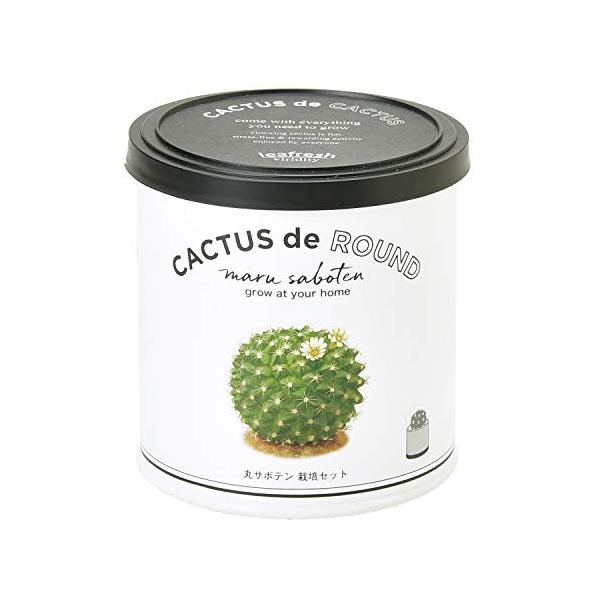【商品概要】サイズ:直径7.1×高さ7.4cmセット内容:ペーパーポット インナーポット 培養土 種 説明書【商品説明】インテリアとして人気のあるサボテンパッケージは、そのまま栽培ポットとして使用しますじっくり育ててお部屋のインテリアに加え...