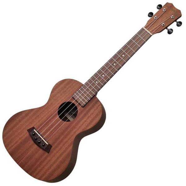 ei[EN ISLANDER Mahogany Series MT-4
