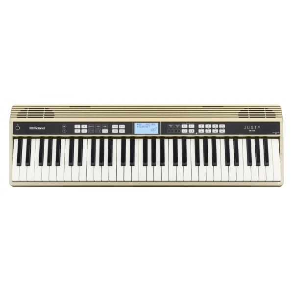 Roland [h JUSTY HK-100 n[j[YKpL[{[h LOP[Xt