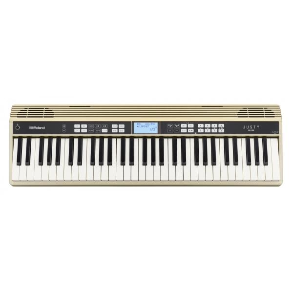 Roland [h JUSTY HK-100 n[j[YKpL[{[h