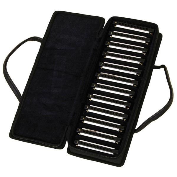 他サイト： アリア ブルースハープ ARIA AH-10 SET テンホールズハーモニカ 12キーセットの商品画像