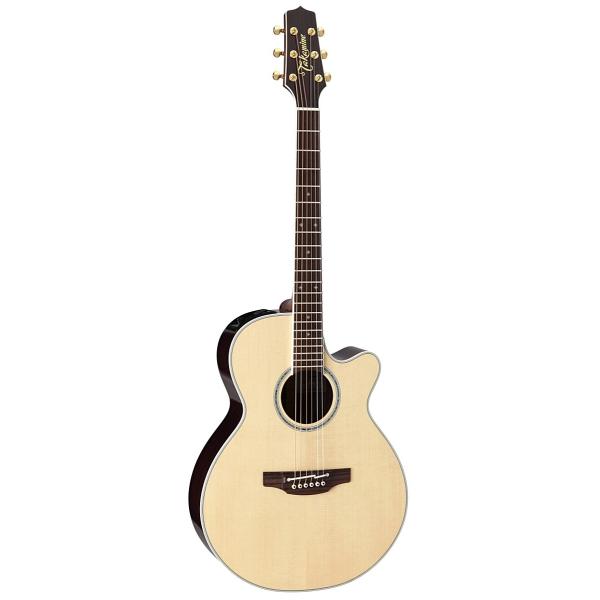 タカミネ 100シリーズ PTU141C [N] (アコースティックギター) 価格比較 