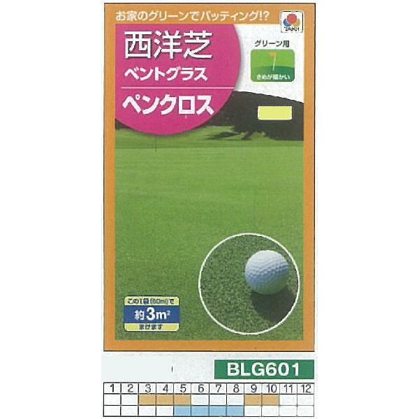 yőEqzm xgOX yNX[BLG601]/(3[g)