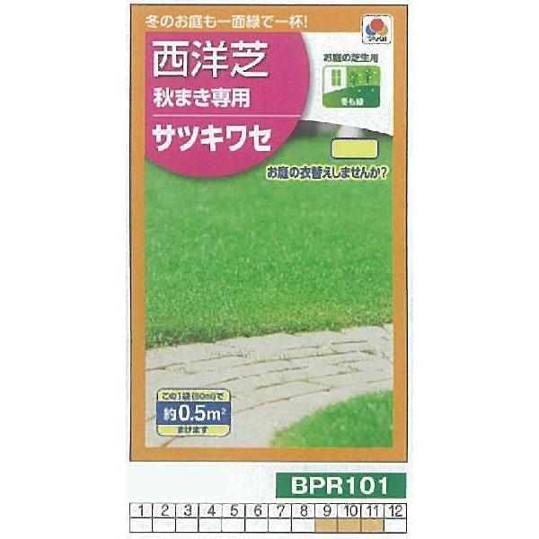 yőEqzmŁ@H܂piC^[fBGCgCOXjTcLZ[BPR101]/(0.5[g)