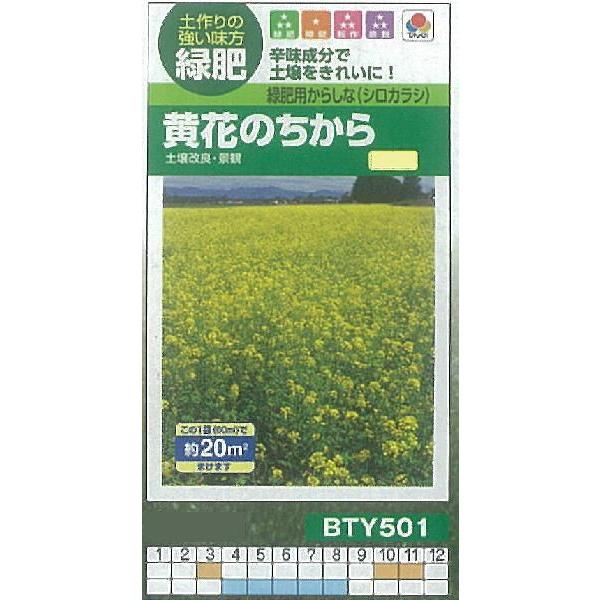 yőEqzΔp炵ȁiVJVj Ԃ̂iiϗpE앨j[BTY501]/(20[g)