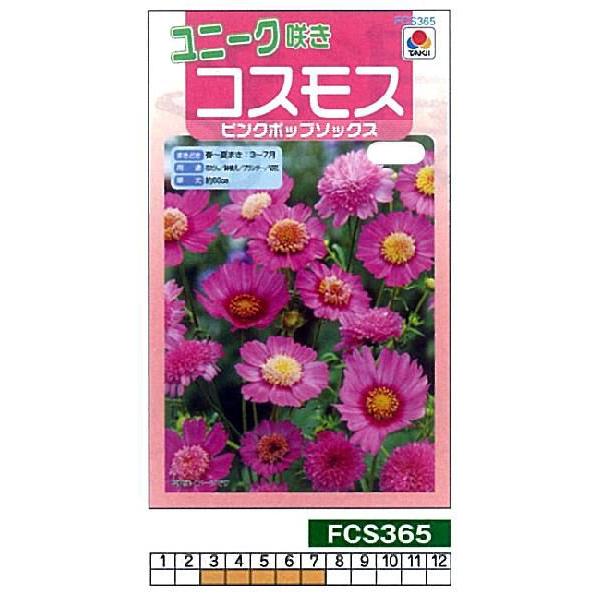 RXX sN|bv\bNX[FCS365]/