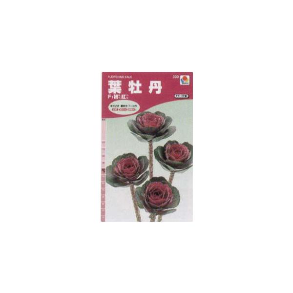 n{^@tOi؉Ԍۗtj@F1g[FHB684]/