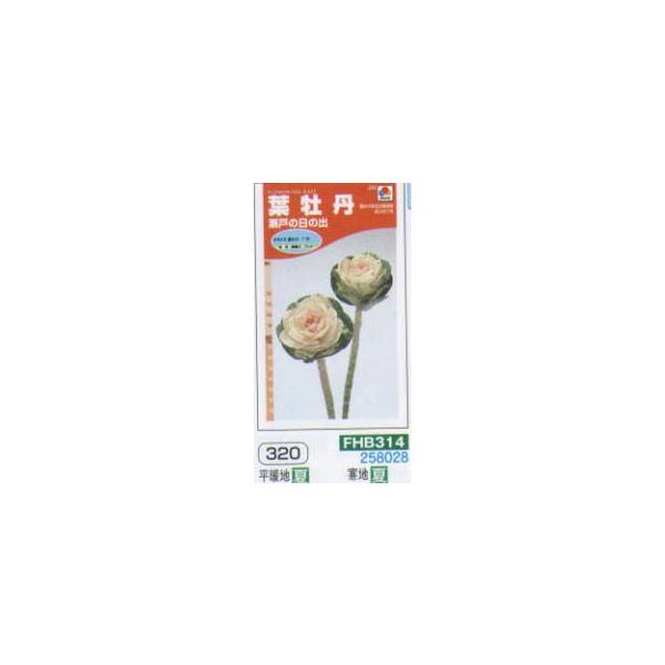 n{^@tOi؉Ԍۗtj@˂̓̏o[FHB314]/