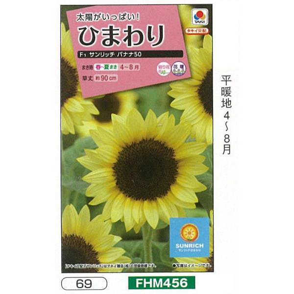 ヒマワリ　ひまわり　SUNRICH　F1サンリッチバナナ50[FHM456]/小袋（2.5ml）