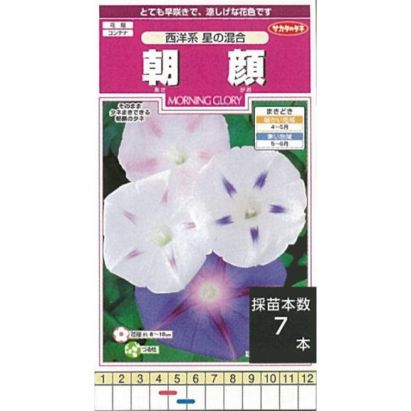 朝顔 種」の人気商品一覧 | 安い商品を通販サイトから探す