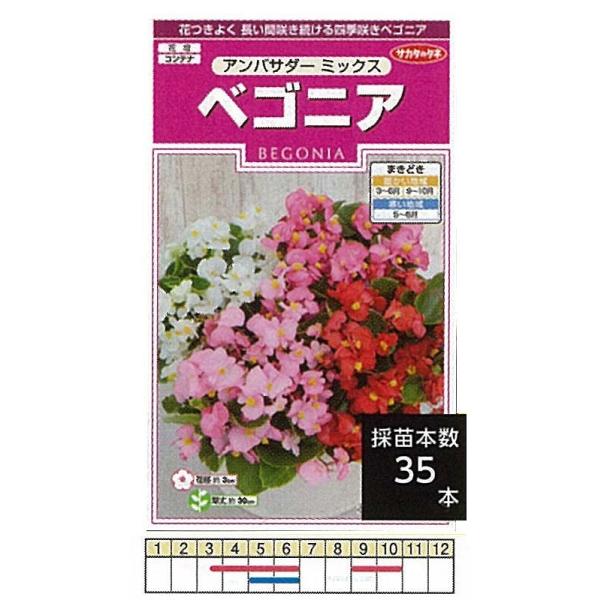 xSjA@AoT_[~bNX[905664]/܁i30j