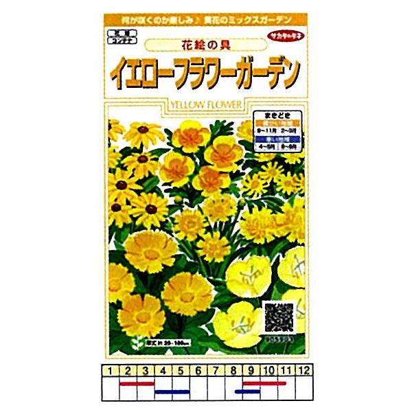 ԊG̋ CG[t[K[f[905903]/܁i5mlj