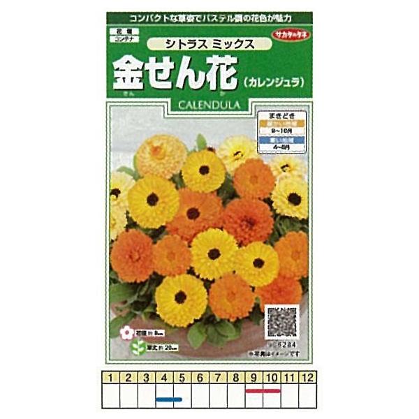 LZJi JWj VgX~bNX[906284]so^iti햼SAKCAL002/SAKCAL003@COo֎~ii_HPjQƁj/܁i3mlj