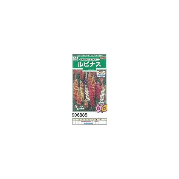 siX bZ~ibg~bNX[906885]/܁i1mlj