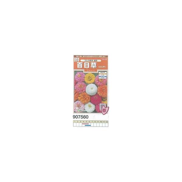 WjAiqNj`\EESj v~炫 [907560]/܁i2mlj