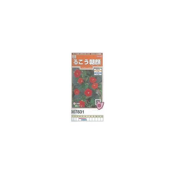 ルコウソウ るこう朝顔 9071 小袋 Buyee Buyee Japanese Proxy Service Buy From Japan Bot Online