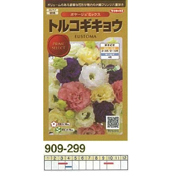 gRMLEi[Xg}j {[W~bNX[909299]/