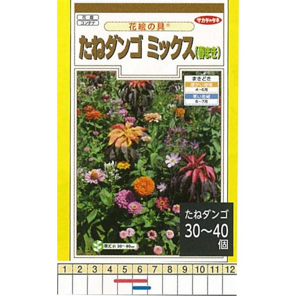 ԊG̋@˃_S~bNXit܂j[909350]/܁i10j