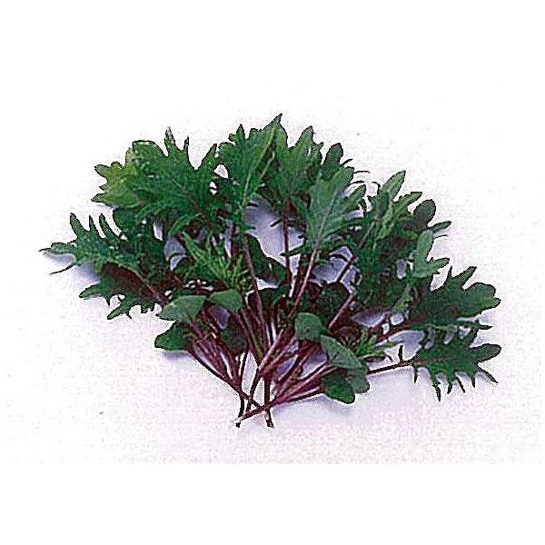 yxr[[tzt ؗtbhP[Q/1dl