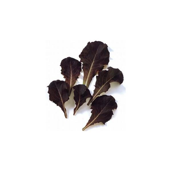 yxr[[tz^X bhT_iėpjQ/1dl